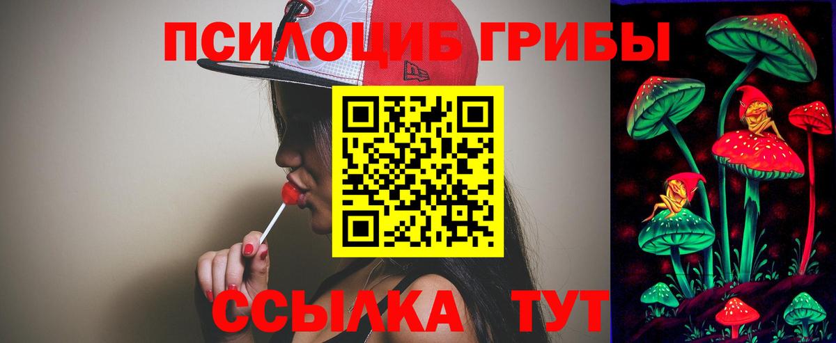 Тобольск  Галлюциногенные грибы ЛСД  Вход с VPN 