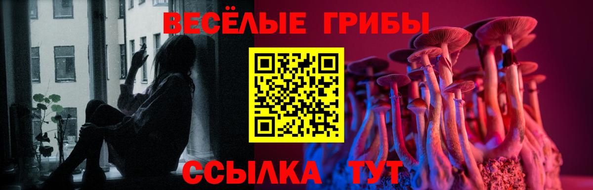 Псилоцибиновые грибы прущие грибы Тобольск